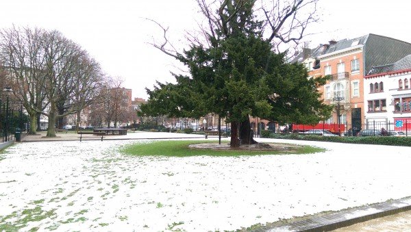Neve em Bruxelas inverno 2016 - Imaginação Fértil