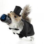 cerveja the end of history