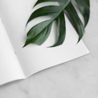 Ano Novo – Imaginação Fértil