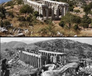 Apolo – Bassae – Grécia – Imaginação Fértil (16)